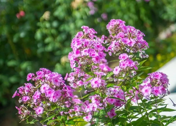 Gorgeous Hideout Mostar